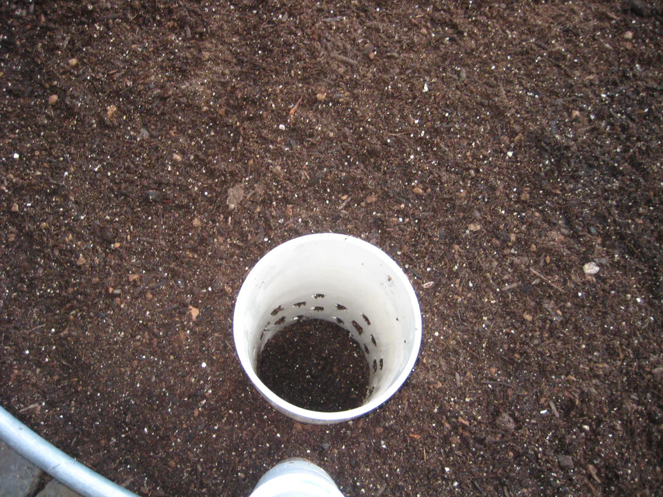 A worm tower set into the soil — open at the top, drilled along the sides.