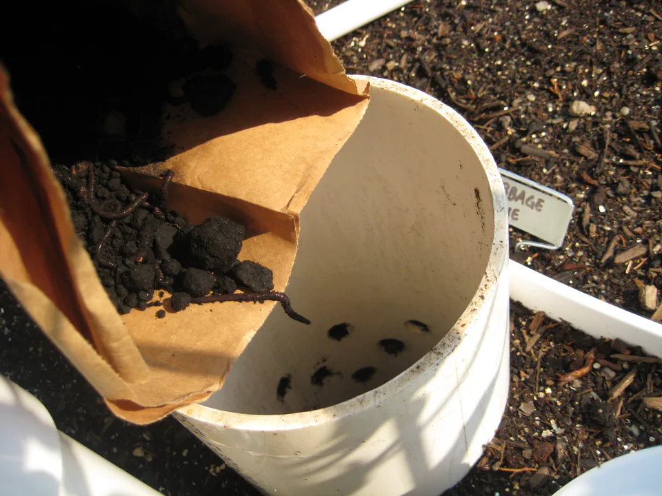 Charging a tower with compost and red wigglers. They live in the tube, work through the scraps, and cast into the bed.