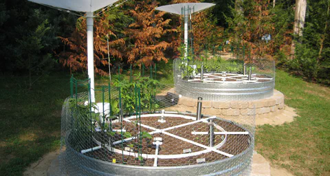 Wicking Worm Gardens