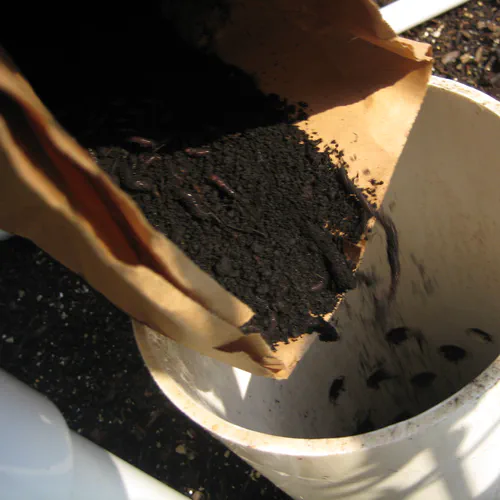 Wicking Worm Gardens