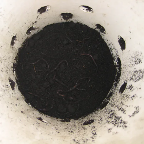 Wicking Worm Gardens