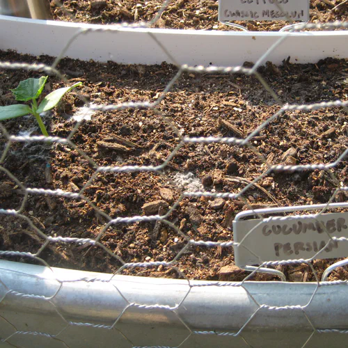 Wicking Worm Gardens