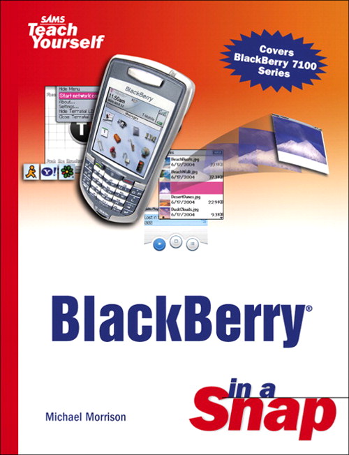 TY BlackBerry in a Snap cover